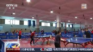 2026年世界杯官网 乒乓球台面标准尺寸厚度